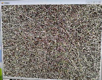 不銹鋼燒結網放大圖